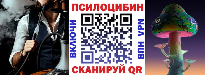 Купить закладки  Моздок  Галлюциногенные грибы GOLDEN TEACHER 